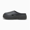 395249 03 CA MULE WNS SLIDES