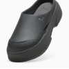 395249 03 CA MULE WNS SLIDES