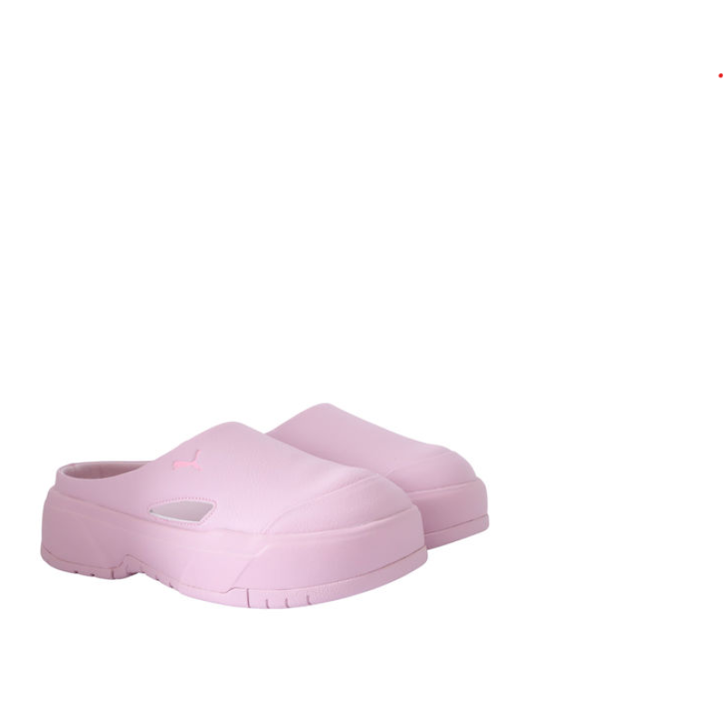 395249 01 CA MULE WNS SLIDES