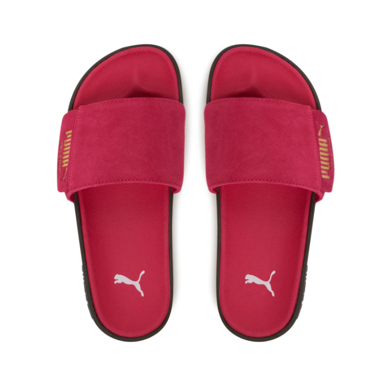 399041 04 LEADCAT 2.0 PALERMO FOIL SLIDES