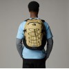 NF00CF9CQV21 BOREALIS CLASSIC KHAKI STONE/TNF BLACK