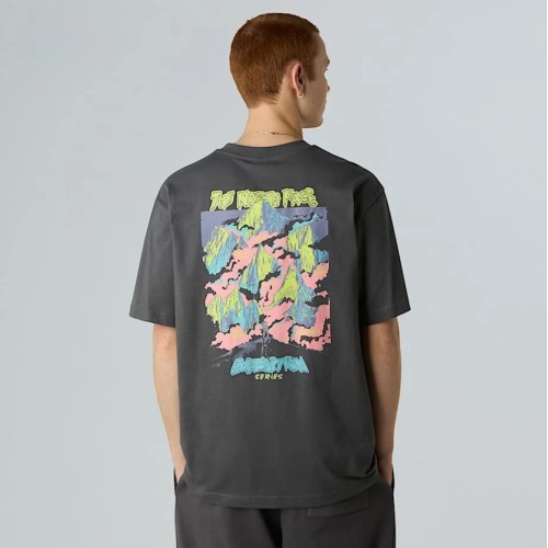 NF0A8E3CRHI1 U EXPEDITION CELEBRATION OVERSIZED S/S GREY