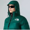 NF0A3XEO1KI1 W 1996 RETRO NUPTSE JACKET HUNTER GREEN