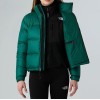 NF0A3XEO1KI1 W 1996 RETRO NUPTSE JACKET HUNTER GREEN