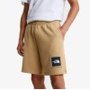 NF0A8GQ8LK51 M BOX NSE LIGHT REGULAR SHORTS KHAKI STONE