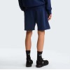 NF0A8GQB8K21 M SIMPLE DOME LIGHT REGULAR SHORTS SUMMIT NAVY