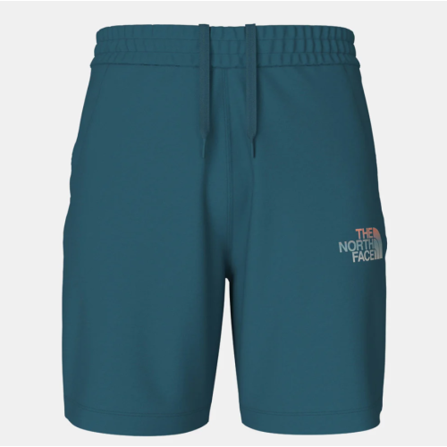 NF0A83FREFS1 M D2 GRAPHIC SHORT - EU BLUE CORA