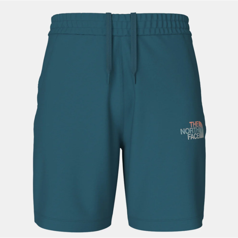 NF0A83FREFS1 M D2 GRAPHIC SHORT - EU BLUE CORA