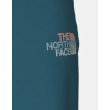 NF0A83FREFS1 M D2 GRAPHIC SHORT - EU BLUE CORA