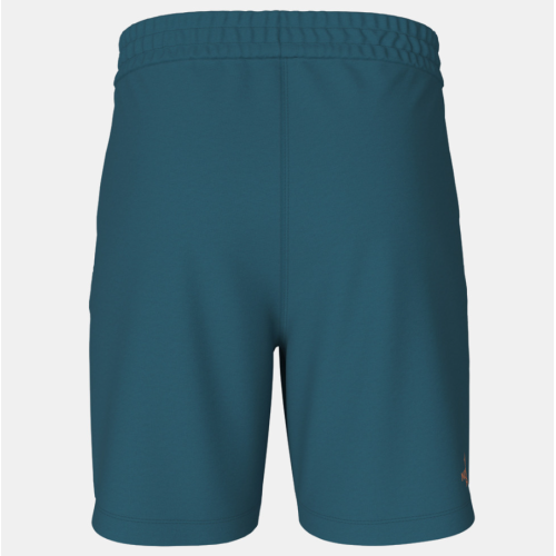 NF0A83FREFS1 M D2 GRAPHIC SHORT - EU BLUE CORA