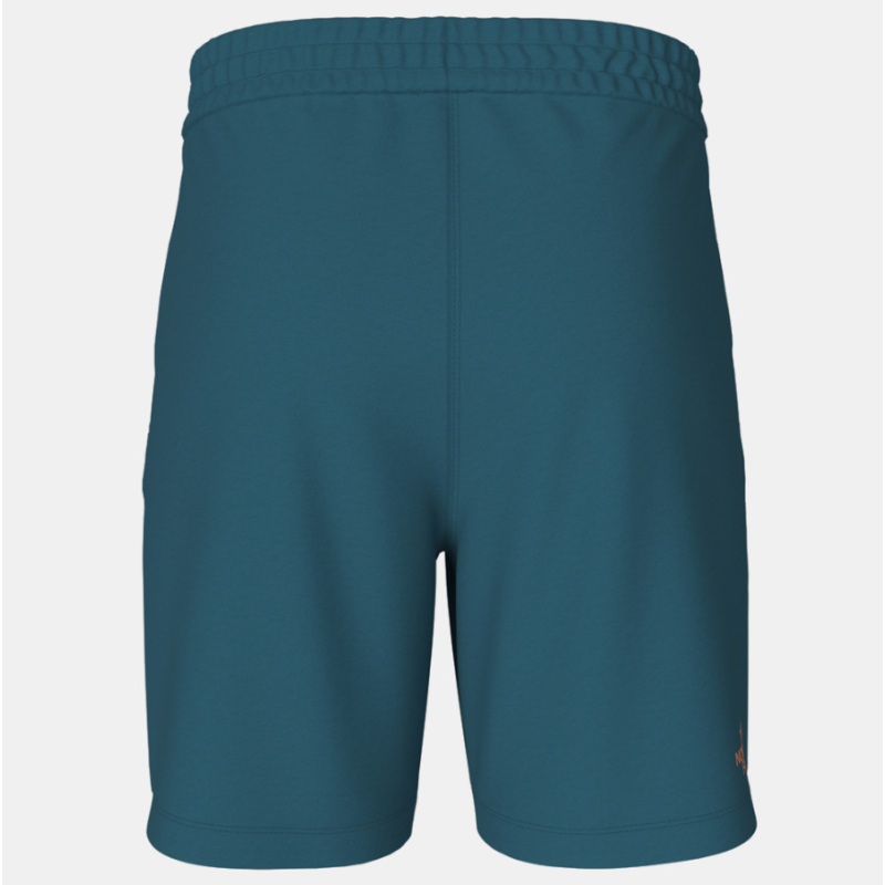 NF0A83FREFS1 M D2 GRAPHIC SHORT - EU BLUE CORA