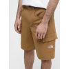 NF0A824D1731 M HORIZON SHORT - EU UTILITY BROWN