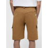 NF0A824D1731 M HORIZON SHORT - EU UTILITY BROWN