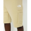 NF0A87DR3X41 M ICONS CARGO SHORTS GRAVEL