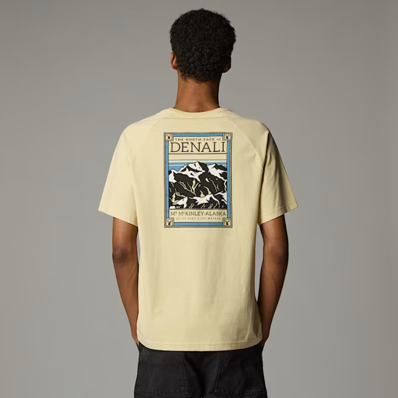 NF0A87NU3X41 M S/S NORTH FACES TEE GRAVEL