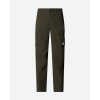 NF0A8BGF21L1 M EXPLORATION CARGO PANT NEW TAUPE GREEN