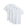 VN000KHDWHT1 MN VANS BASIC TEE MULTI WHITE