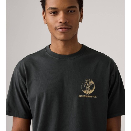 87373-0362 VINTAGE FIT GRAPHIC TEE GREYS