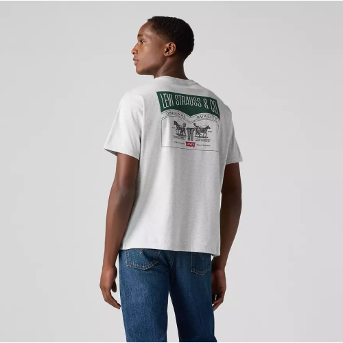 87373-0256 VINTAGE FIT GRAPHIC TEE GREYS