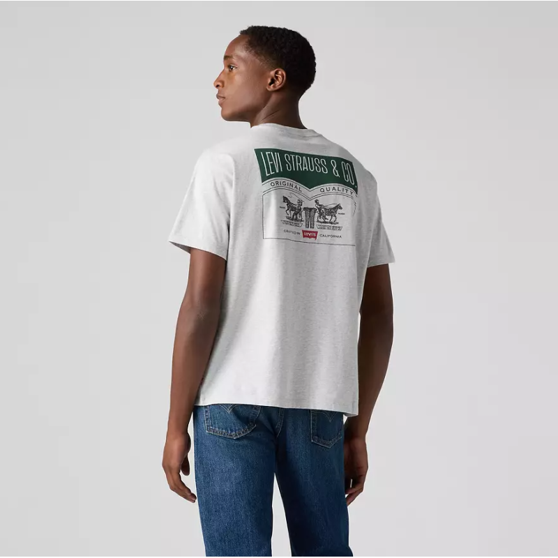 87373-0256 VINTAGE FIT GRAPHIC TEE GREYS
