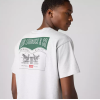 87373-0256 VINTAGE FIT GRAPHIC TEE GREYS