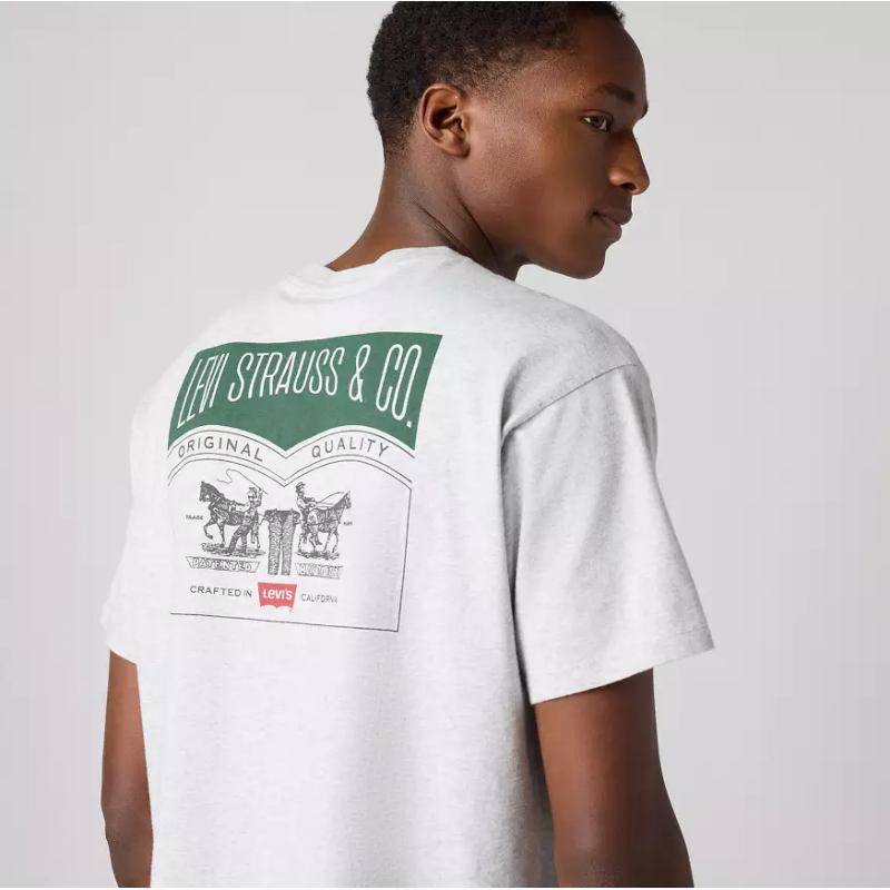 87373-0256 VINTAGE FIT GRAPHIC TEE GREYS
